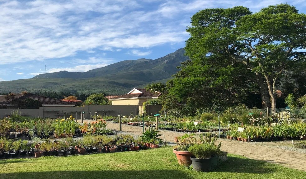 Garden Route Botanical Garden, South Africa